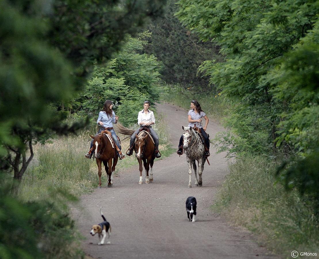 El Bronco Working Ranch Izsák Esterno foto